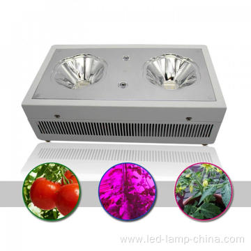 Indoor Hydroponic LED Grow Light